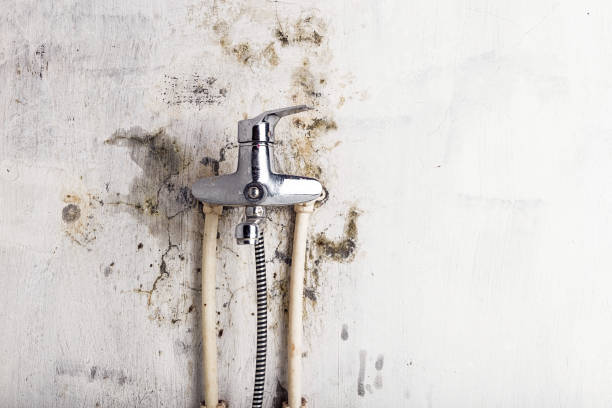 Best Mold Remediation for Specific Building Types in Agua Fria, NM