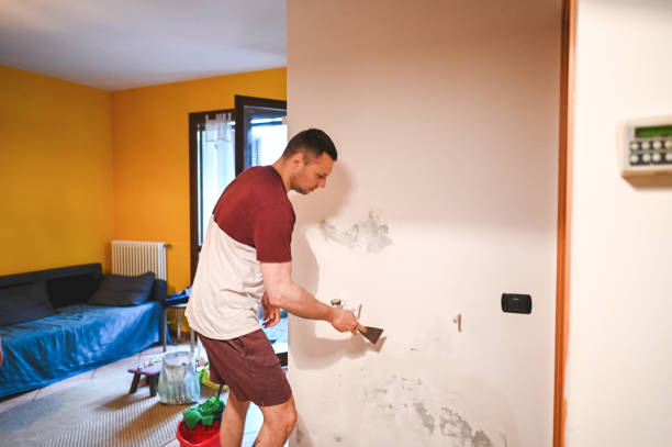 Best Insurance-Related Mold Remediation in Agua Fria, NM